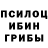 Галлюциногенные грибы Magic Shrooms rosana binci