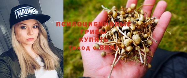 мет Аркадак